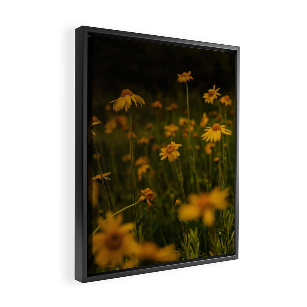 Front Range Flora II Framed Canvas Print Gallery Image 2