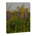 Front Range Flora III Canvas Print Gallery Image 6