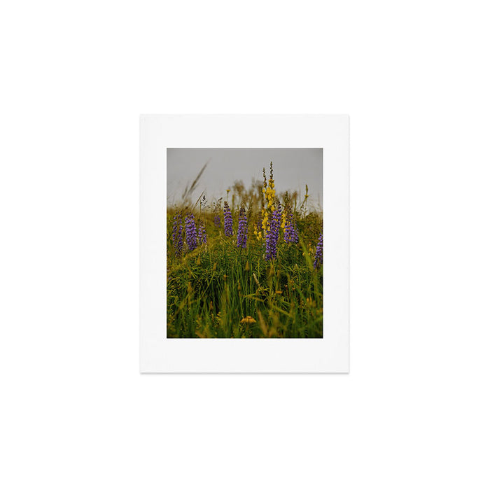 Front Range Flora III Art Print Gallery Image 1