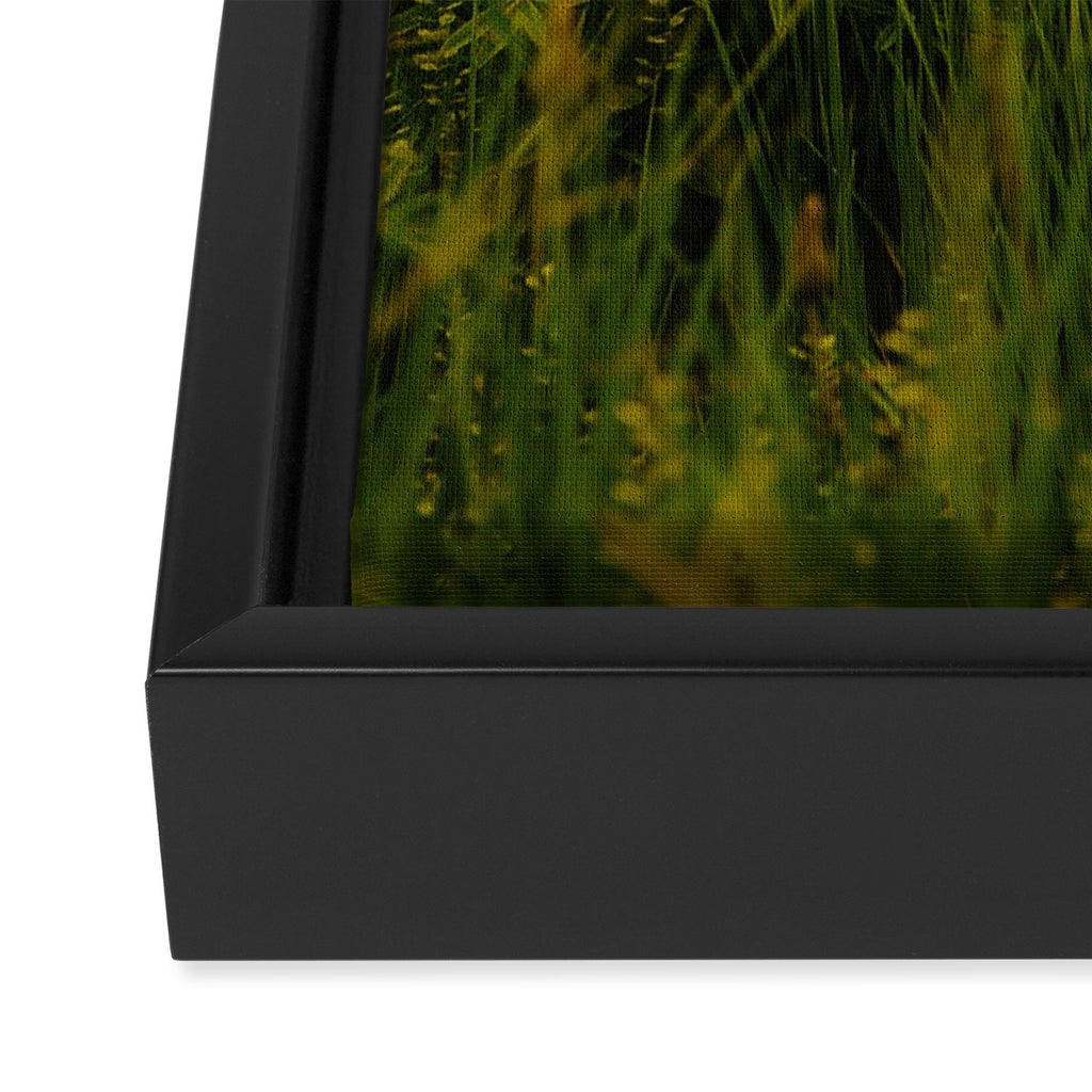 Front Range Flora III Framed Canvas Print Gallery Image 3