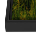 Front Range Flora III Framed Canvas Print Gallery Image 3