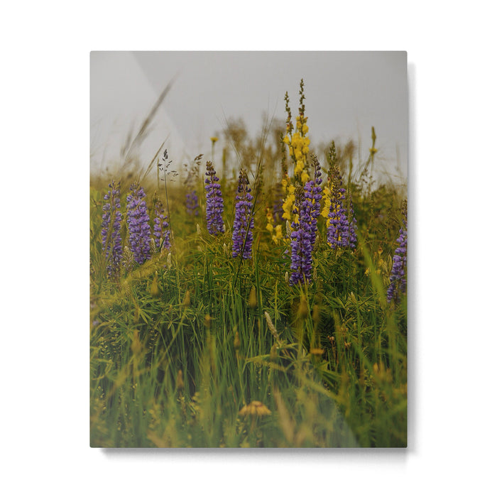 Front Range Flora III Metal Print Gallery Image 1