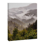 Great Smoky Mountains  Canvas Print Gallery Image 6