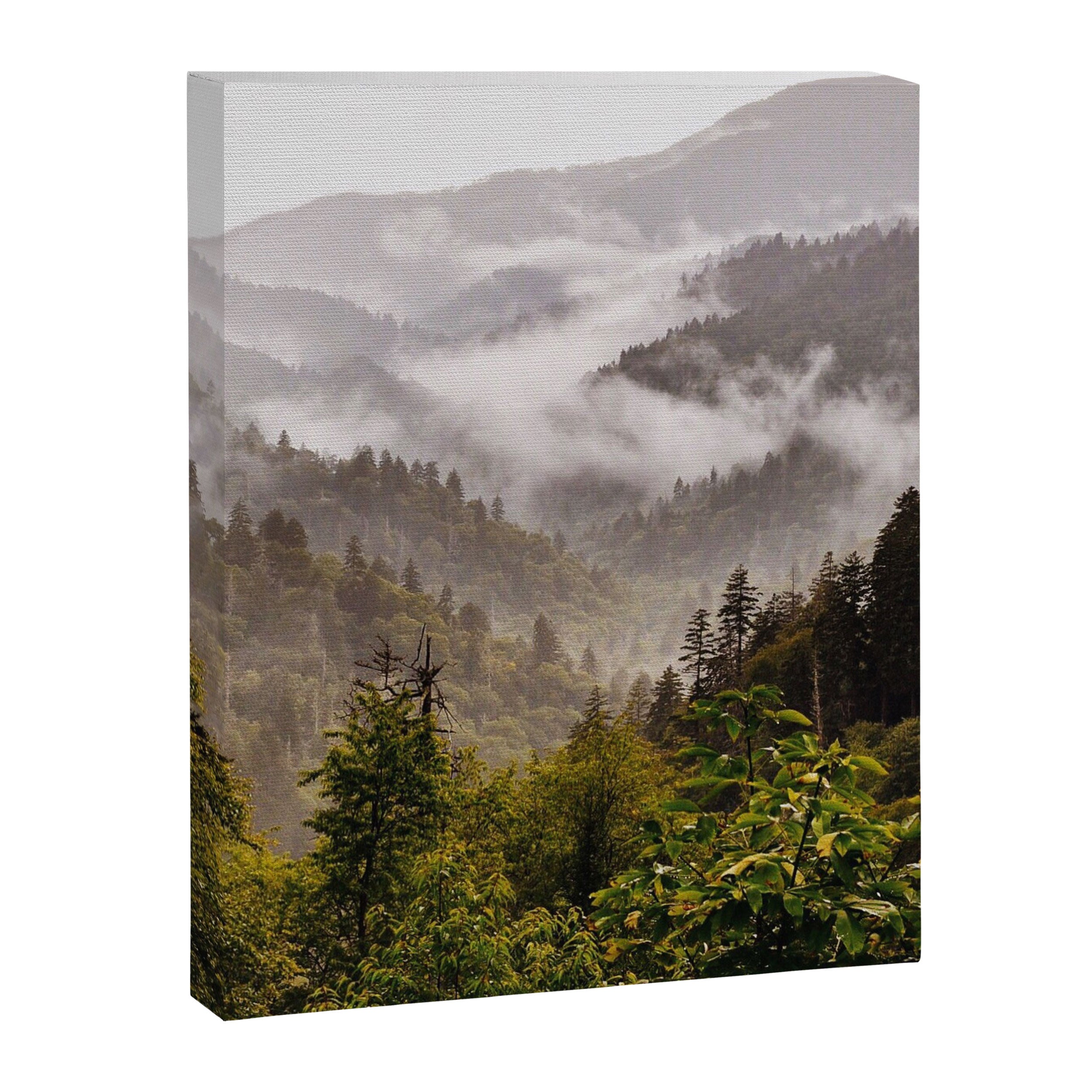 Great Smoky Mountains  Canvas Print Gallery Image 6
