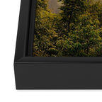Great Smoky Mountains  Framed Canvas Print Gallery Image 3