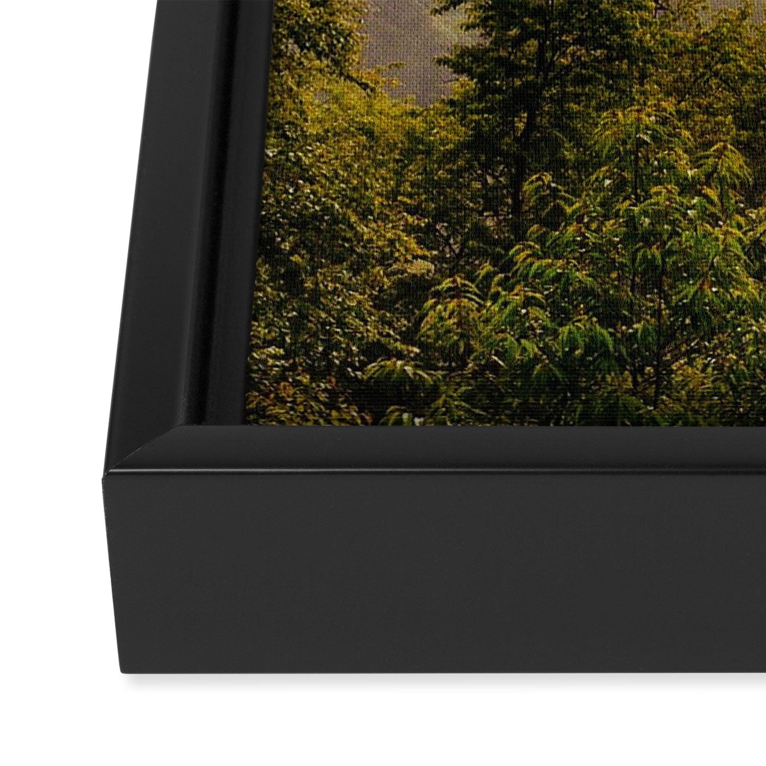 Great Smoky Mountains  Framed Canvas Print Gallery Image 3