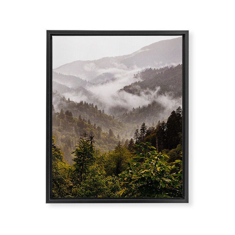 Great Smoky Mountains  Framed Canvas Print Gallery Image 6