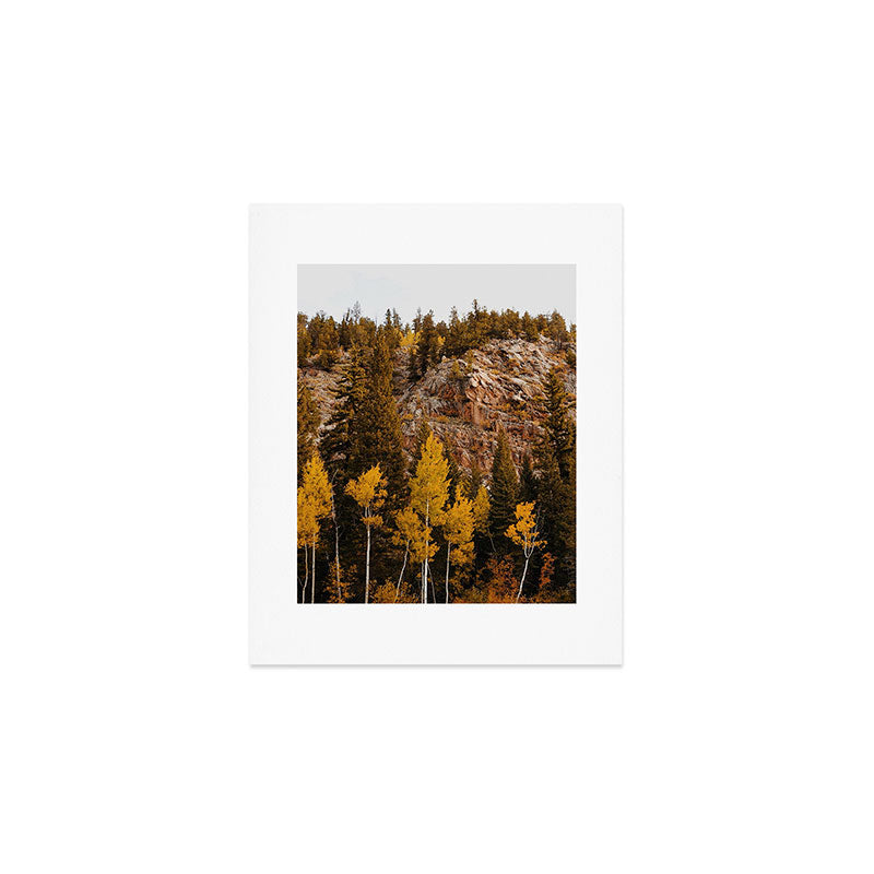 Guanella Pass Aspens Art Print Gallery Image 1