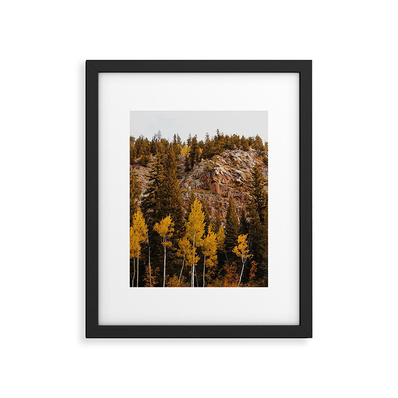 Guanella Pass Aspens Framed Art Print Gallery Image 5