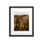Guanella Pass Aspens Framed Art Print Gallery Image 5