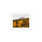 Hallett Peak Foliage Art Print Gallery Image 1