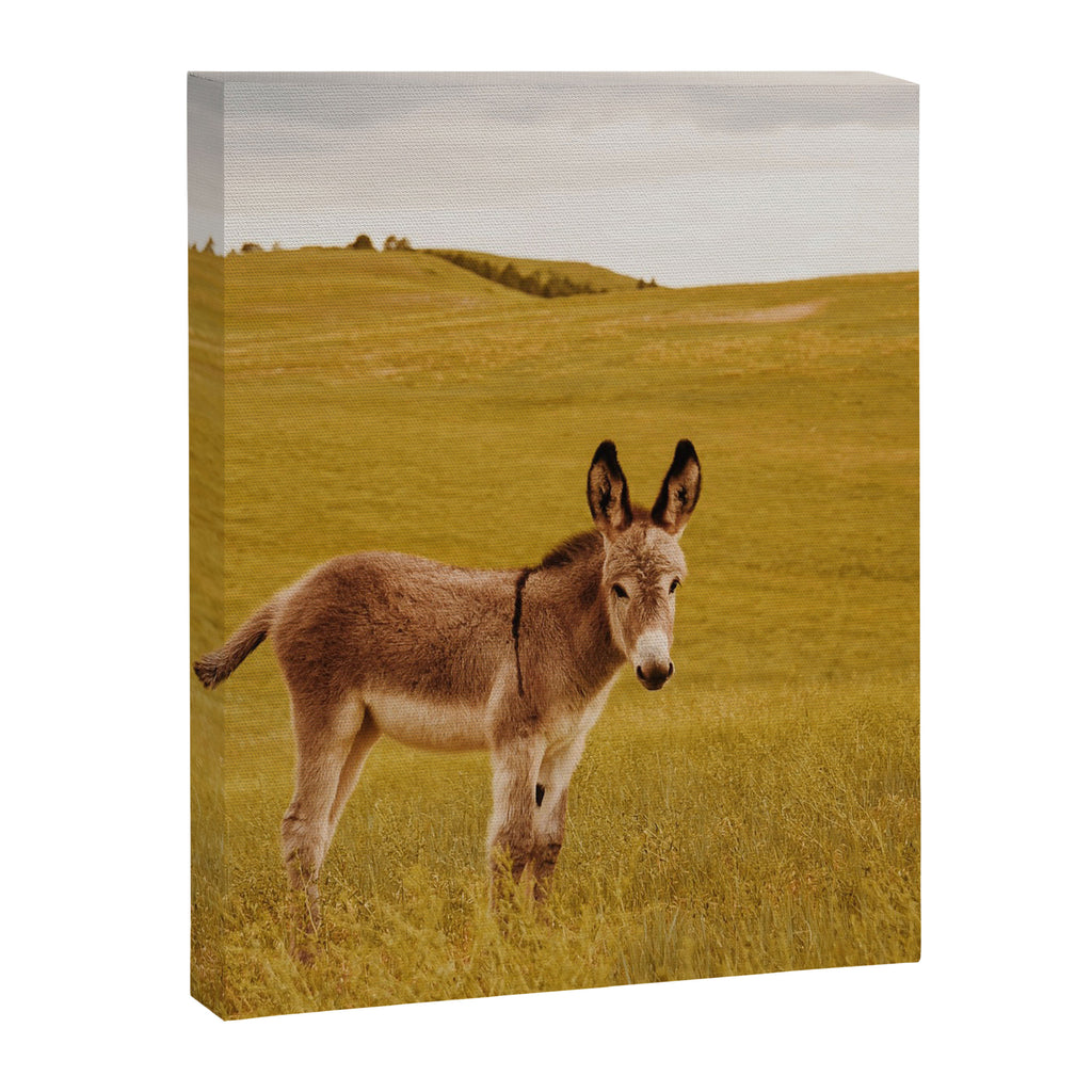 Hee Haw Canvas Print Gallery Image 6