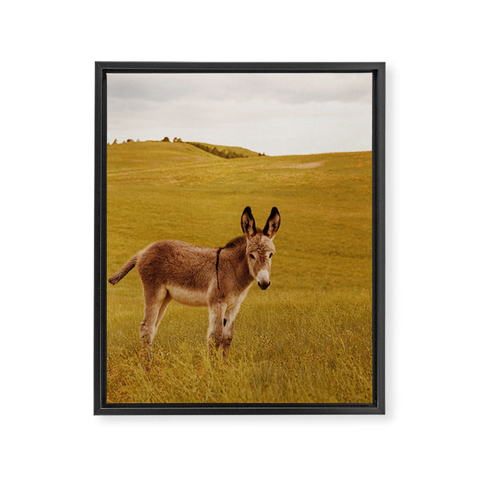 Hee Haw Framed Canvas Print Gallery Image 1