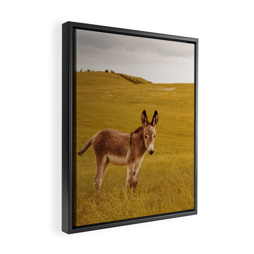 Hee Haw Framed Canvas Print Gallery Image 2