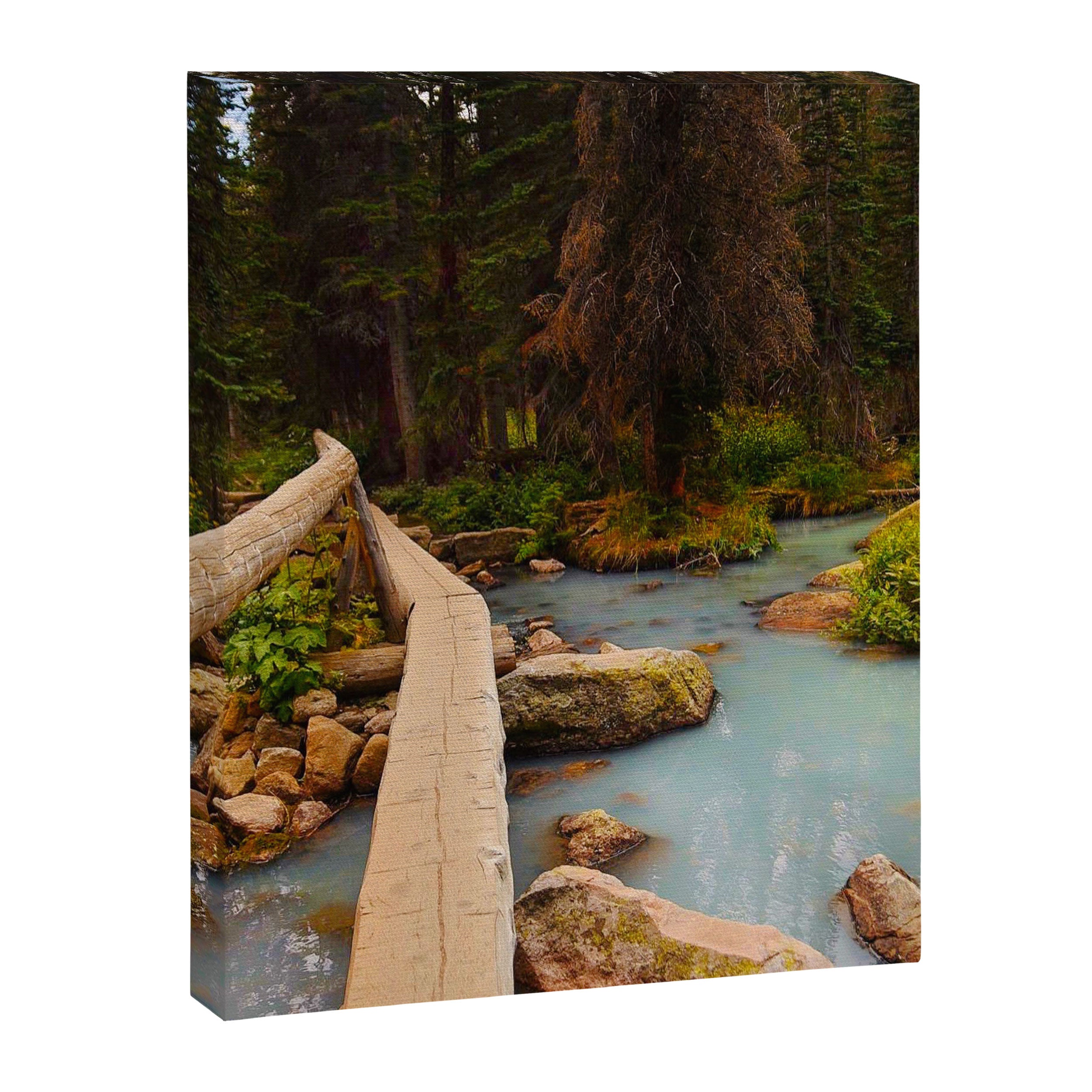 Lake Haiyaha Trail Canvas Print Gallery Image 6