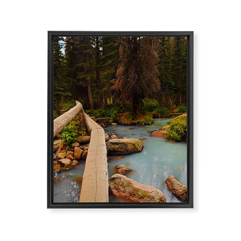 Lake Haiyaha Trail Framed Canvas Print Gallery Image 6