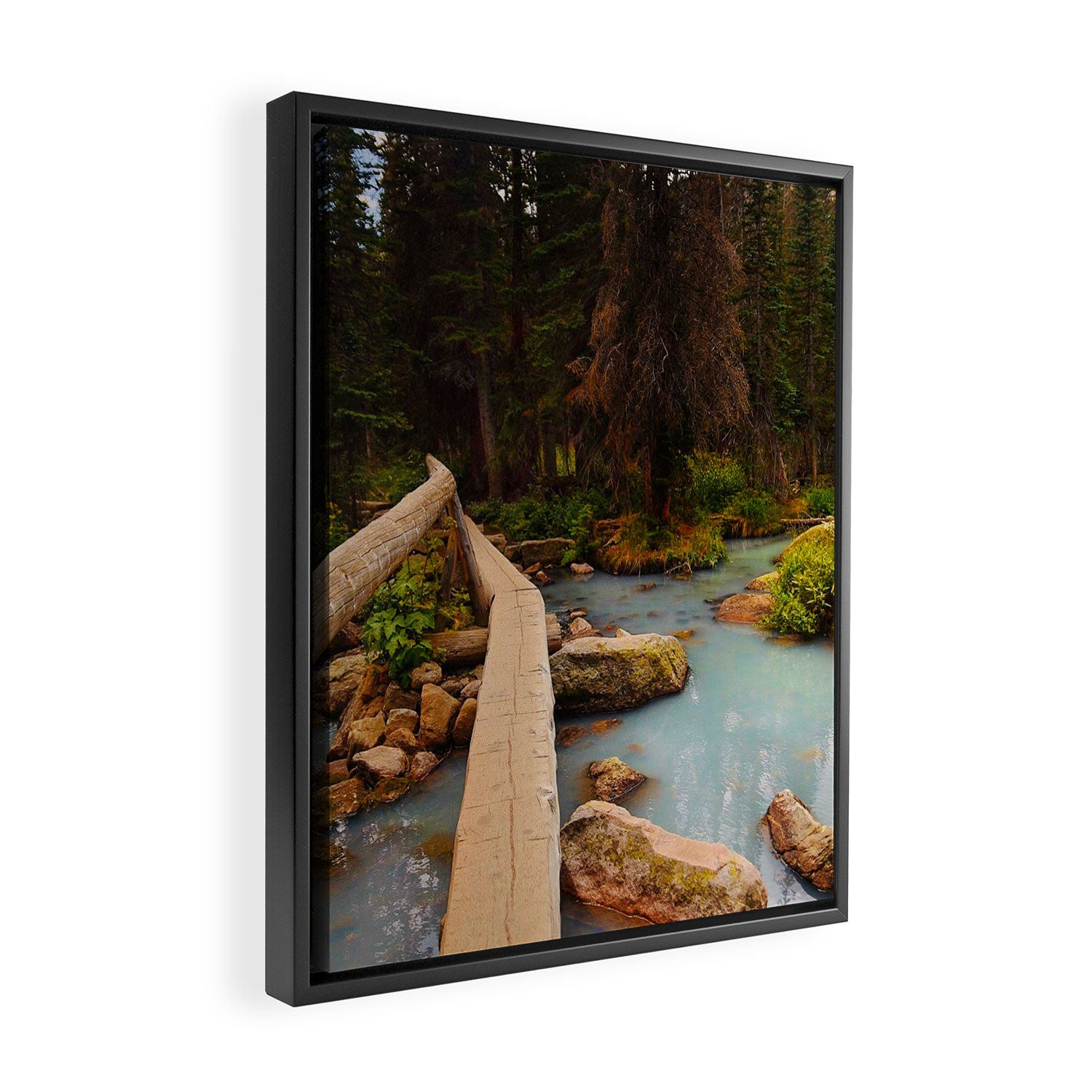 Lake Haiyaha Trail Framed Canvas Print Gallery Image 2