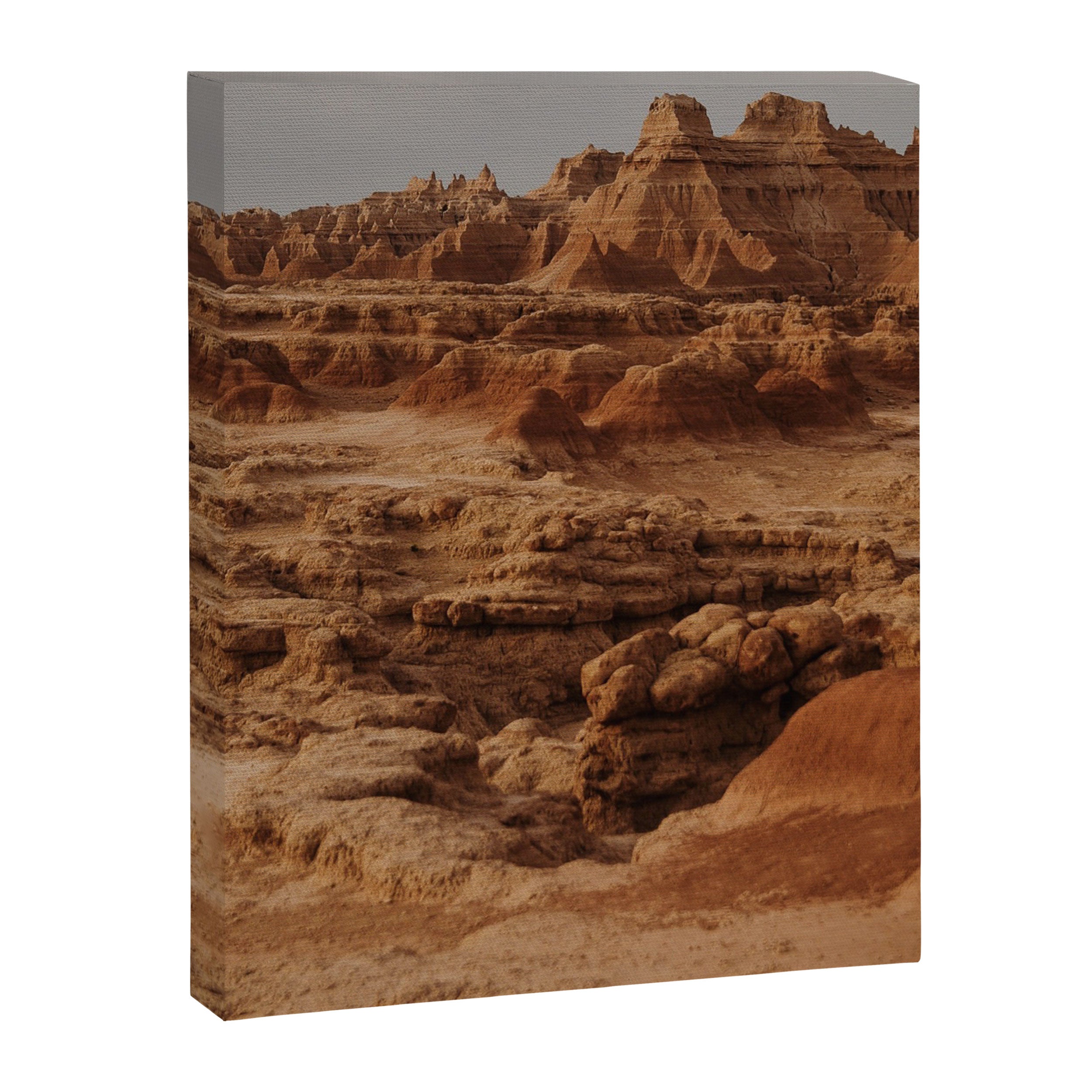 Life on Mars Canvas Print Gallery Image 6