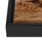 Life on Mars Framed Canvas Print Gallery Image 3