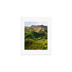 Loveland Pass Paintbrush Art Print Gallery Image 1