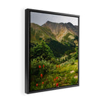 Loveland Pass Paintbrush Framed Canvas Print Gallery Image 2