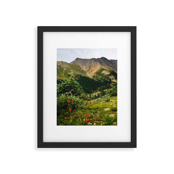 Loveland Pass Paintbrush Framed Art Print Gallery Image 1