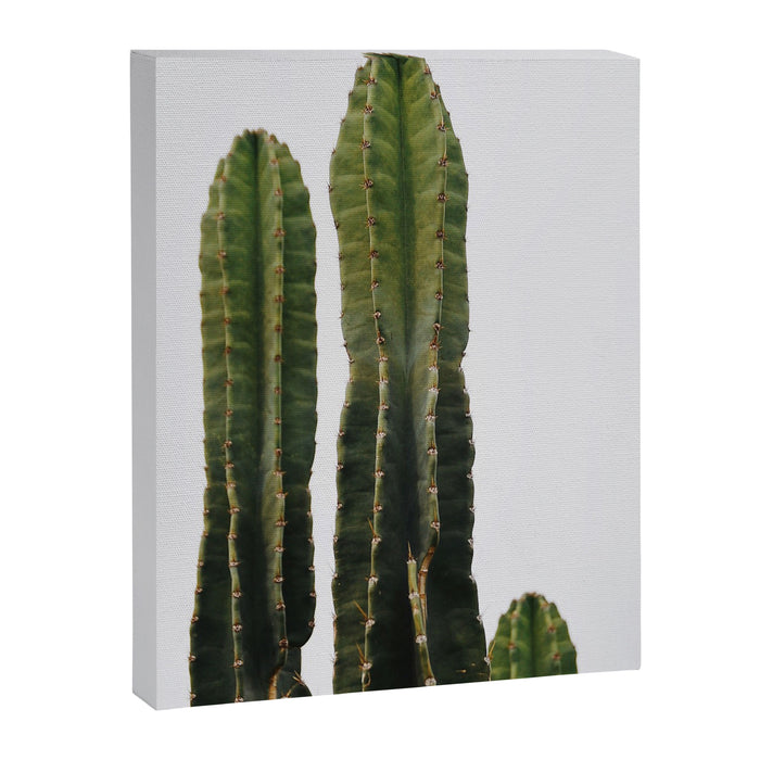 Minimalist Cactus Canvas Print Gallery Image 1