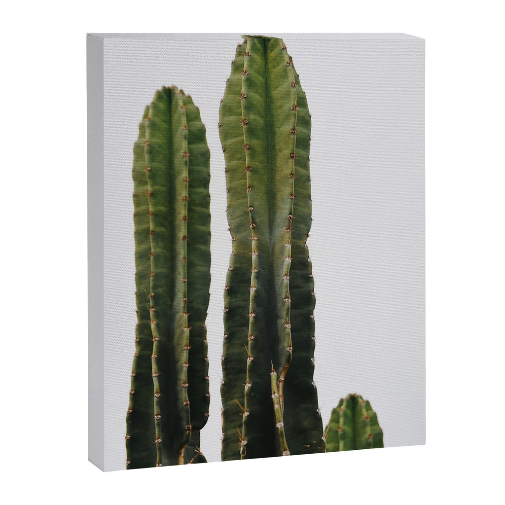 Minimalist Cactus Canvas Print Gallery Image 6