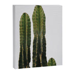 Minimalist Cactus Canvas Print Gallery Image 6