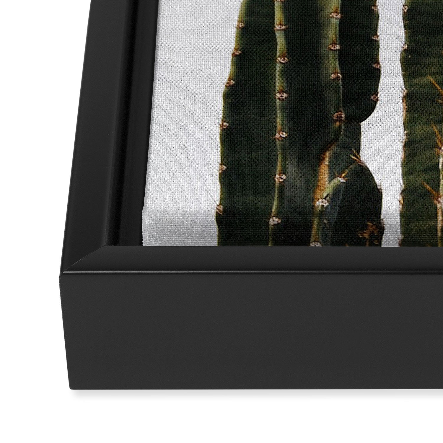 Minimalist Cactus Framed Canvas Print Gallery Image 3