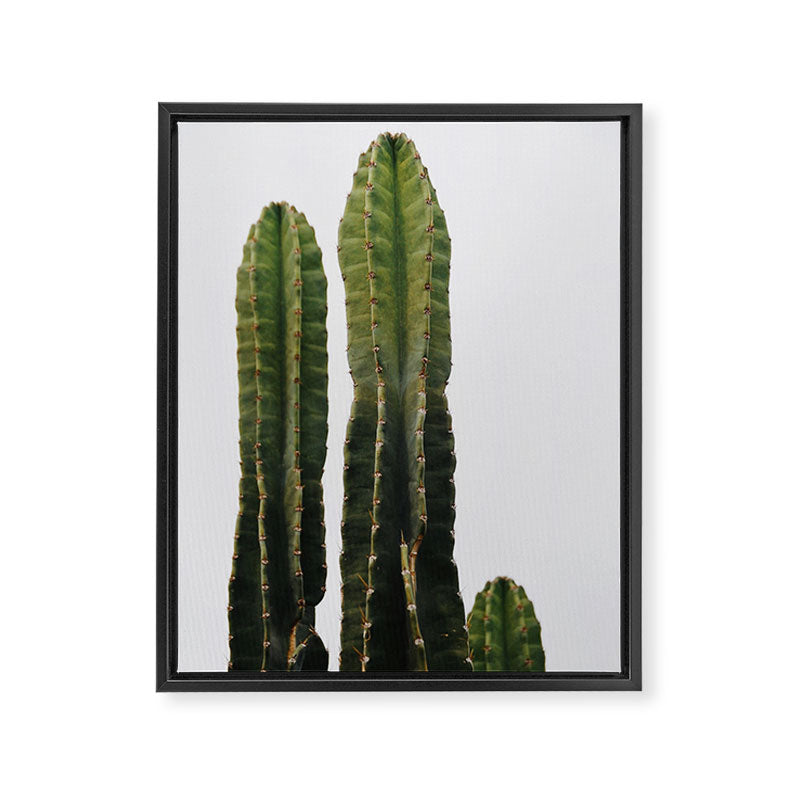 Minimalist Cactus Framed Canvas Print Gallery Image 6