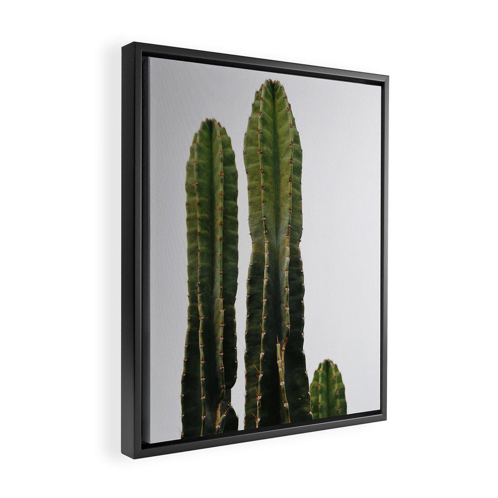Minimalist Cactus Framed Canvas Print Gallery Image 2