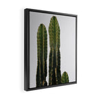 Minimalist Cactus Framed Canvas Print Gallery Image 2
