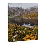 Misty Moody Morning at Mount Blue Sky Canvas Print Gallery Image 6