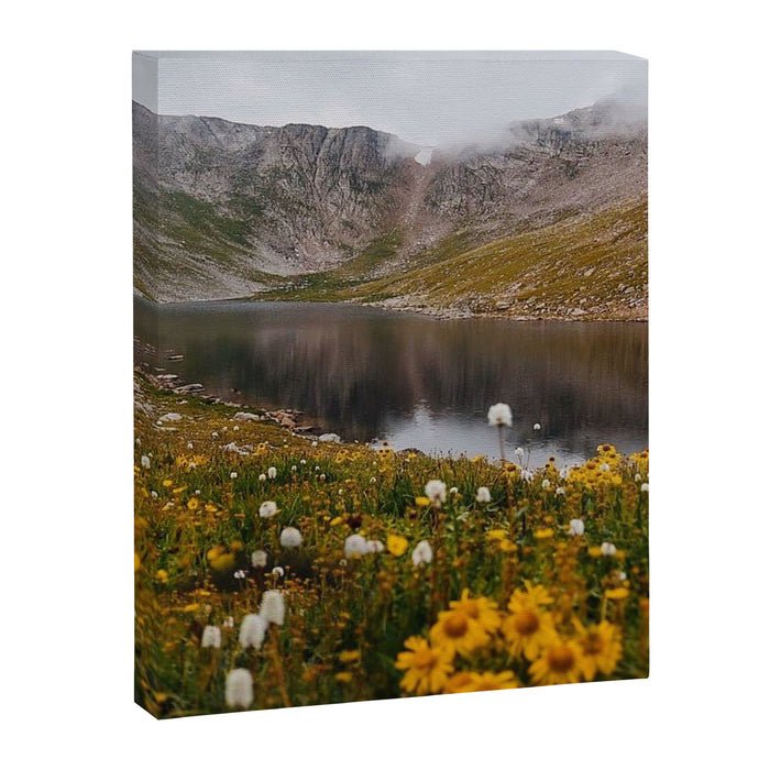 Misty Moody Morning at Mount Blue Sky Canvas Print Gallery Image 1