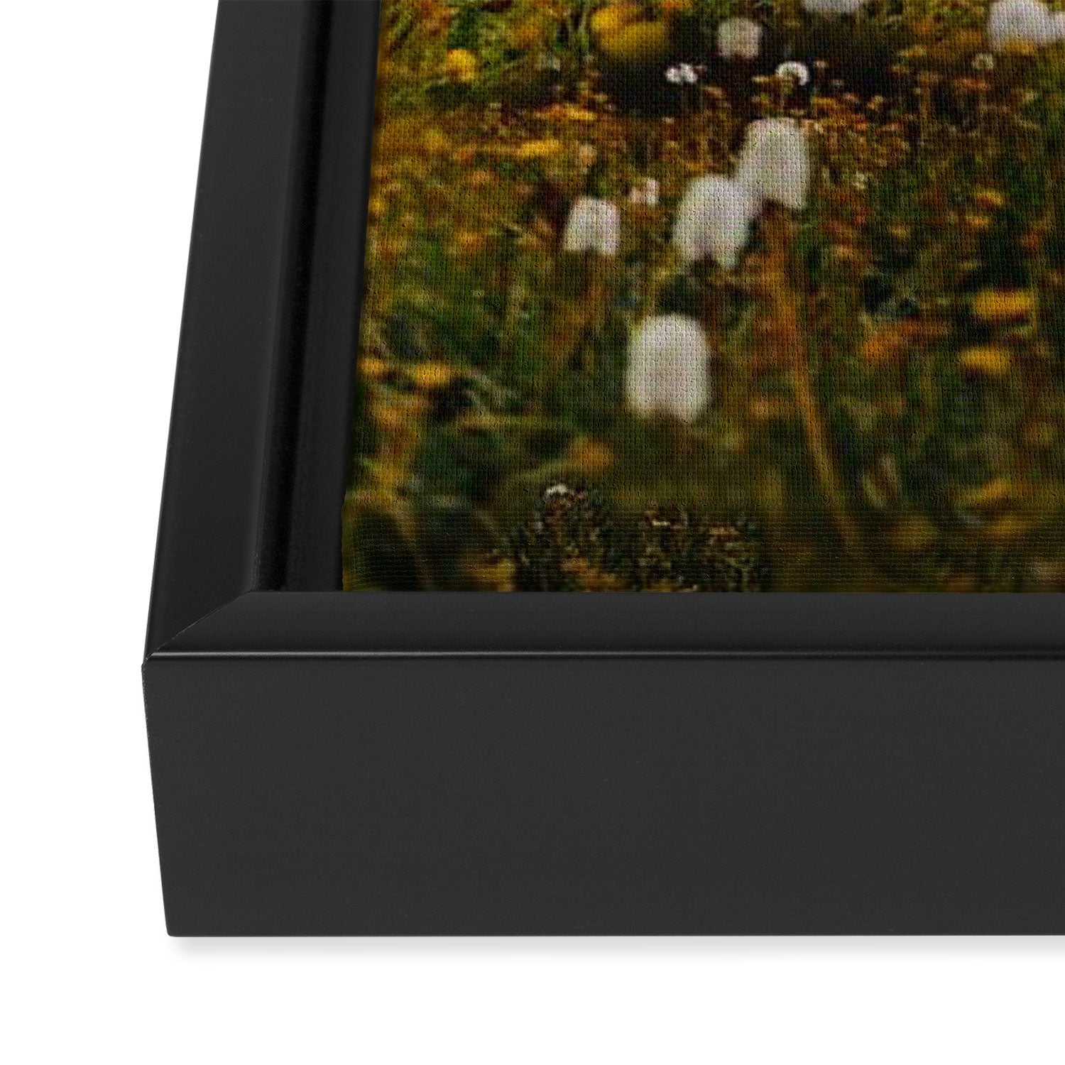Misty Moody Morning at Mount Blue Sky Framed Canvas Print Gallery Image 3