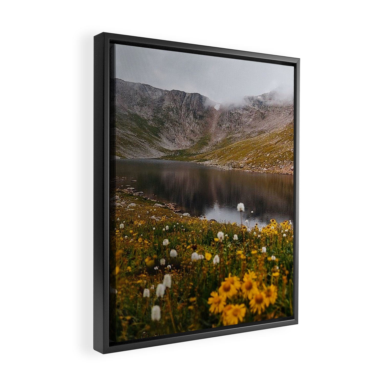 Misty Moody Morning at Mount Blue Sky Framed Canvas Print Gallery Image 2