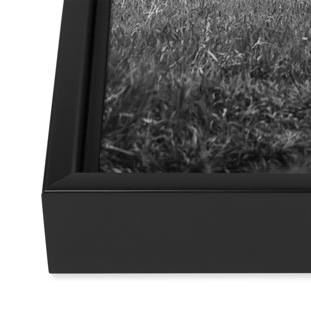 Mormon Row in Black-and-White Framed Canvas Print Gallery Image 3