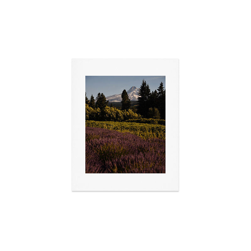Mount Hood Lavender Farm Art Print Gallery Image 1
