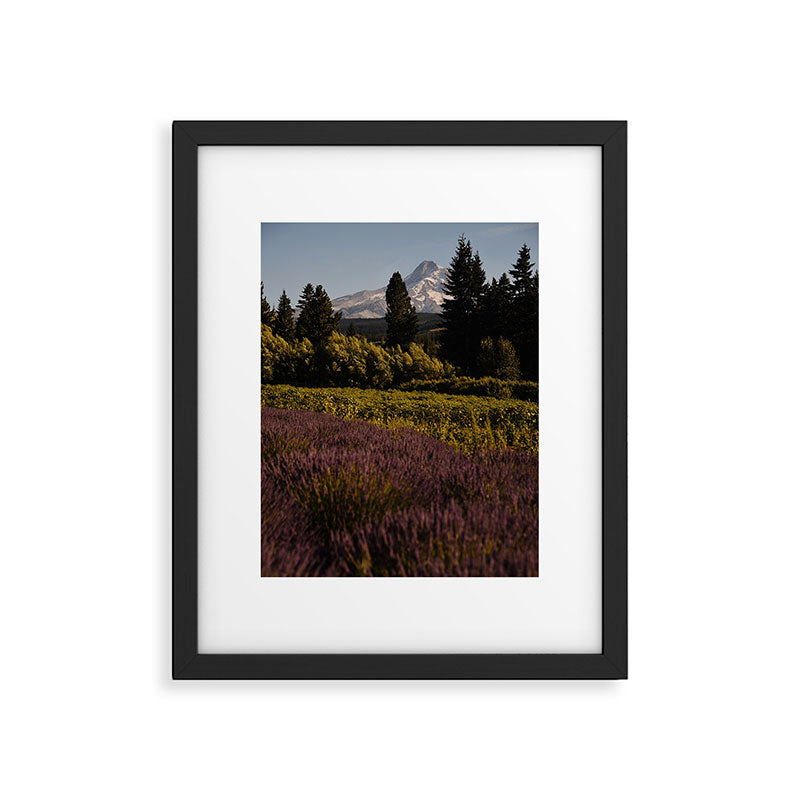 Mount Hood Lavender Farm Framed Art Print Gallery Image 5
