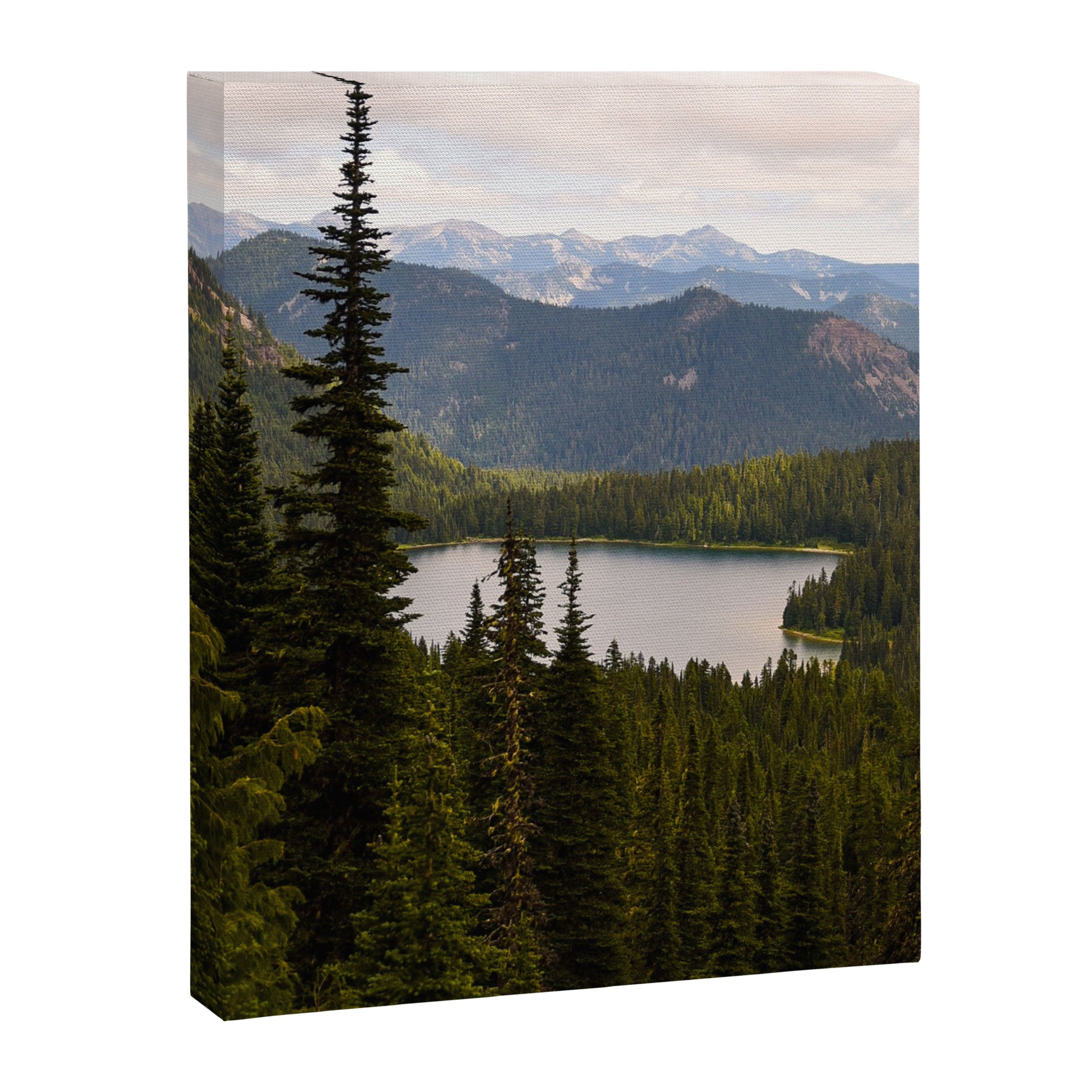 Mount Rainier Alpine Lake Canvas Print Gallery Image 6