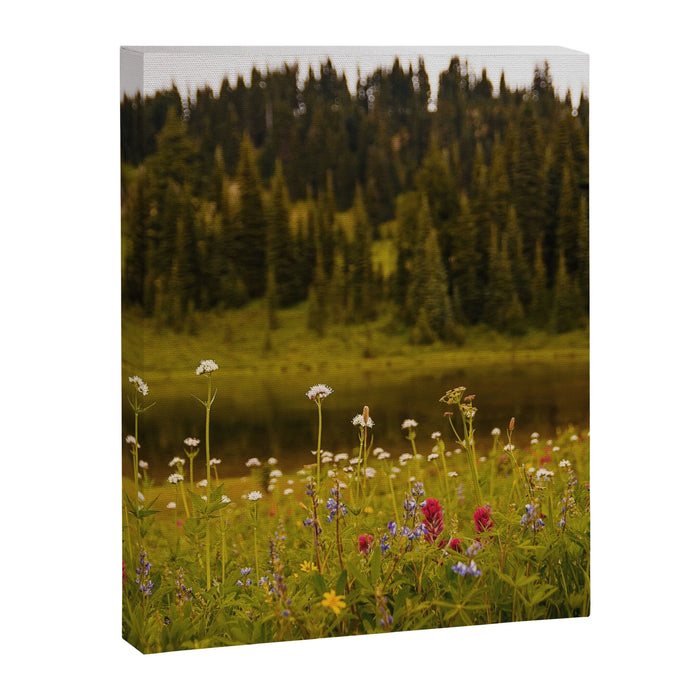 Mount Rainier Wildflower Field Canvas Print Gallery Image 1