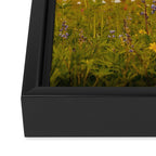 Mount Rainier Wildflower Field Framed Canvas Print Gallery Image 3