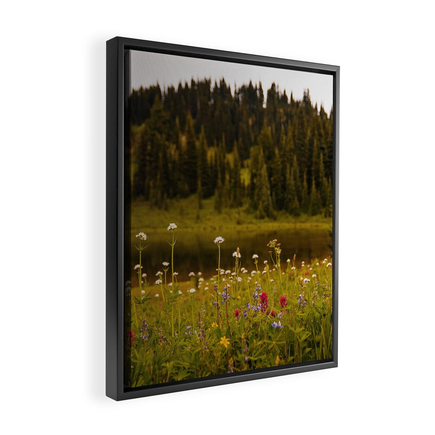 Mount Rainier Wildflower Field Framed Canvas Print Gallery Image 2