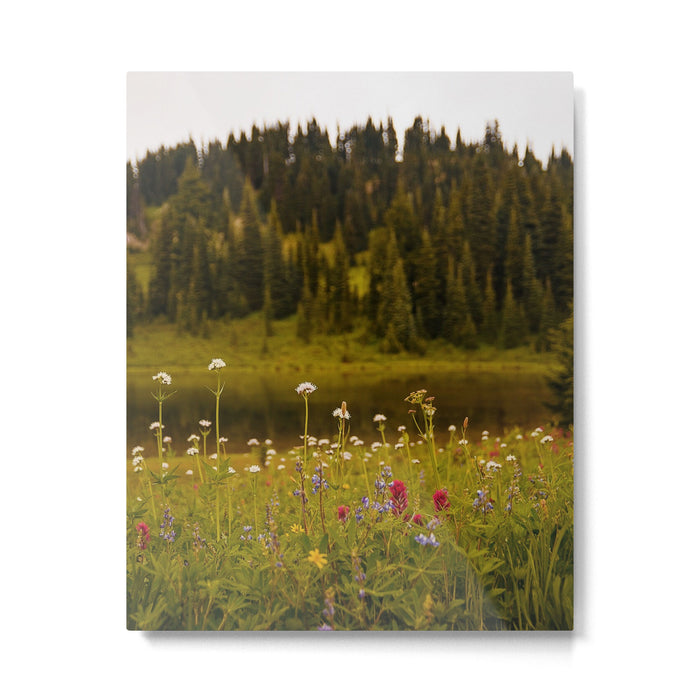 Mount Rainier Wildflower Field Metal Print Gallery Image 1