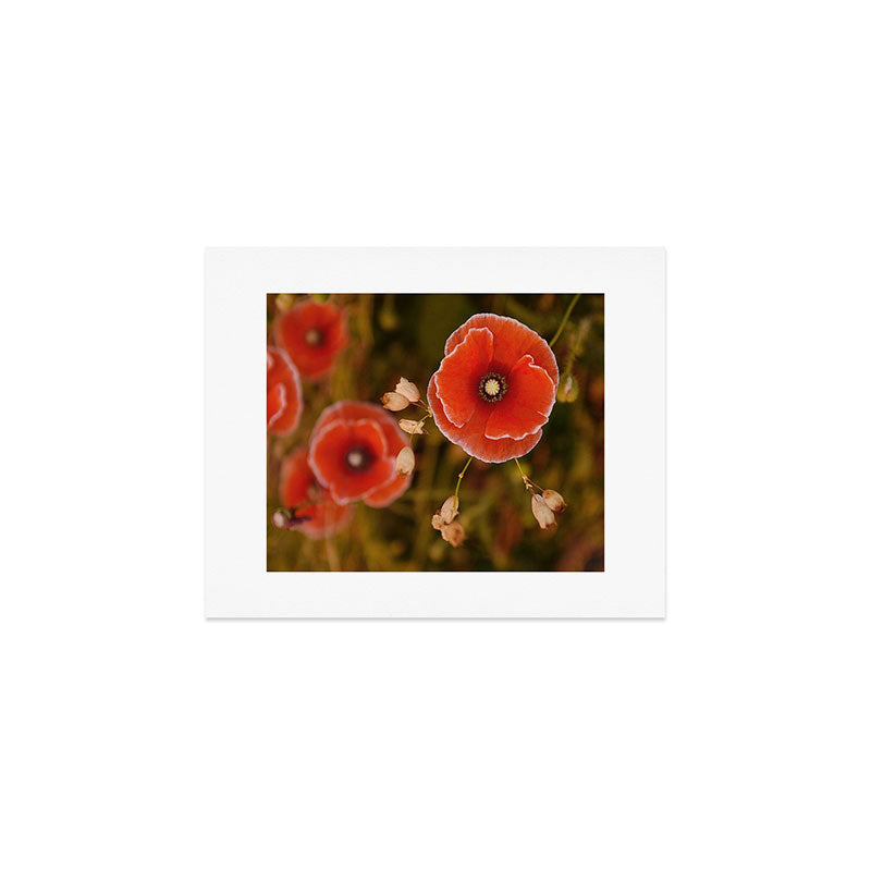 Oregon Poppies Art Print Gallery Image 1