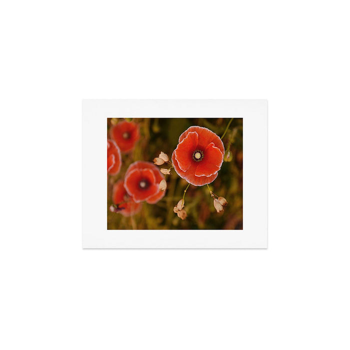Oregon Poppies Art Print Gallery Image 1