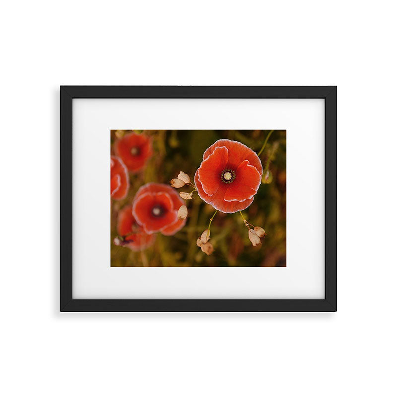 Oregon Poppies Framed Art Print Gallery Image 5