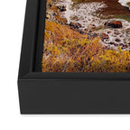 Ragged Point Framed Canvas Print Gallery Image 3