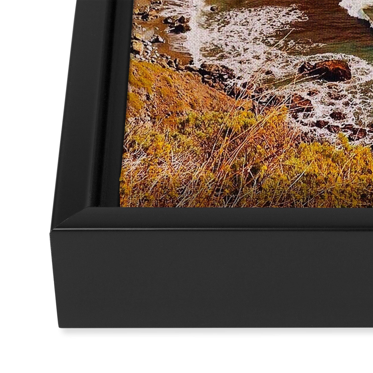Ragged Point Framed Canvas Print Gallery Image 3
